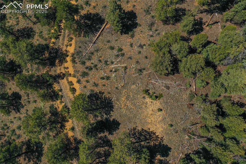 29545 Highway 67