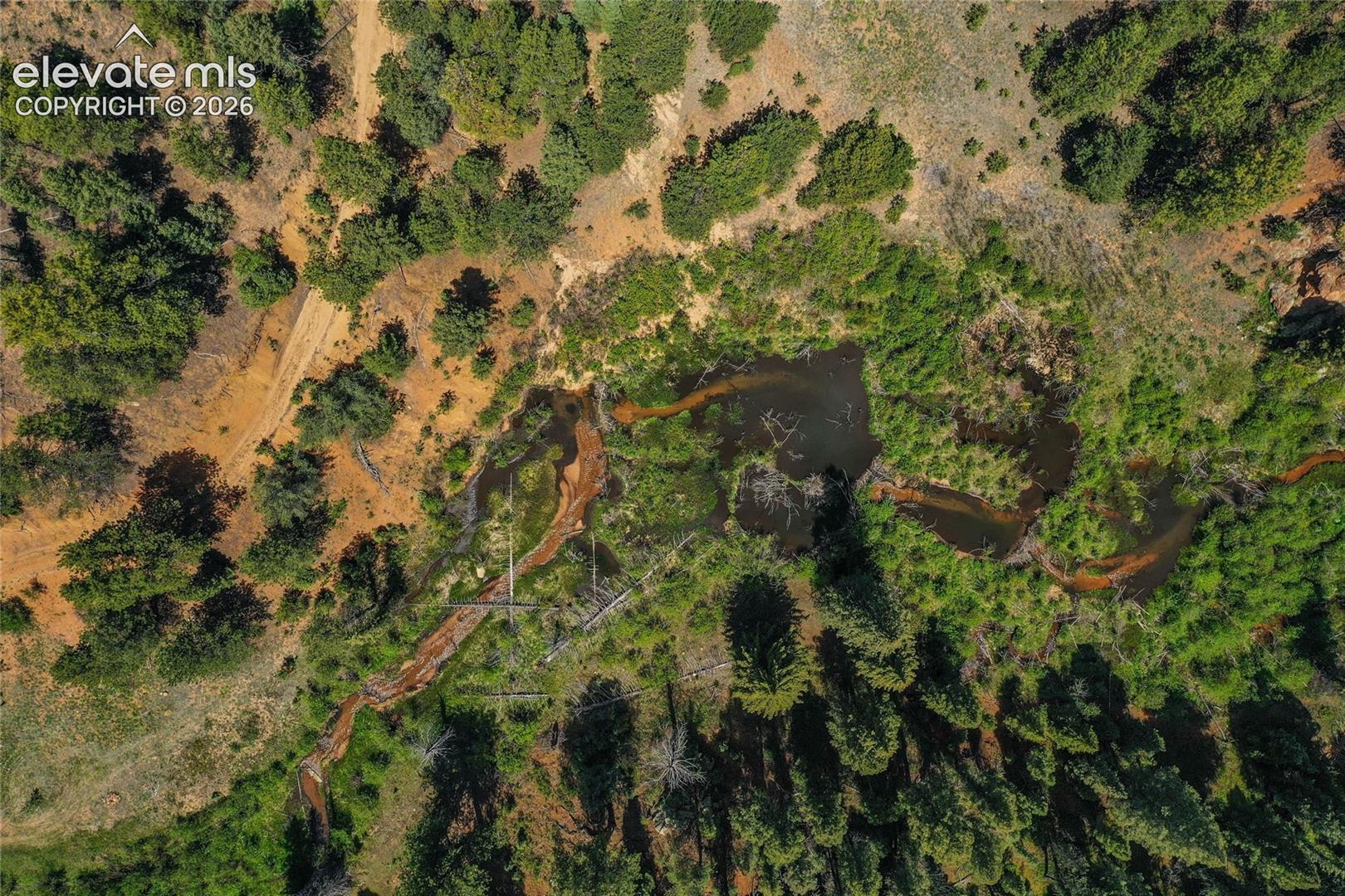 29545 Highway 67