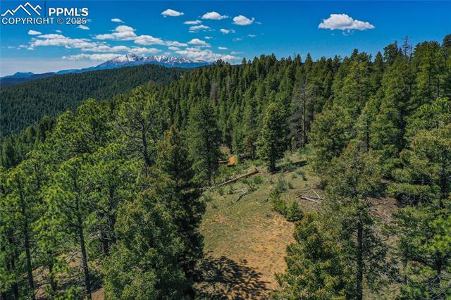 29545 Highway 67