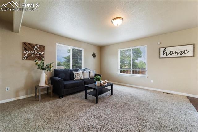 2672 Sierra Springs Drive