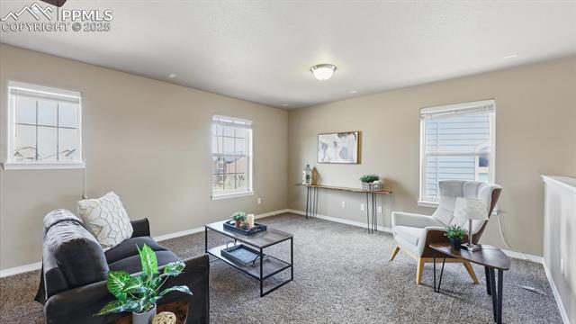 8308 Needle Drop Court