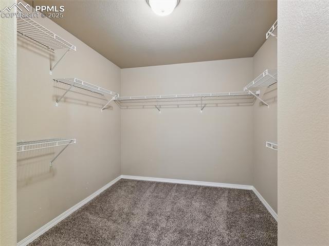 8308 Needle Drop Court