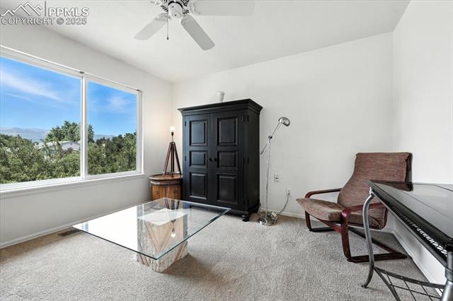 6641 W Gambol Quail Drive
