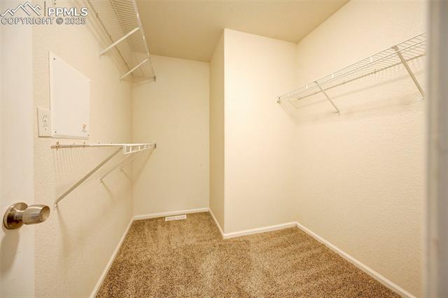 7316 Brush Hollow Drive