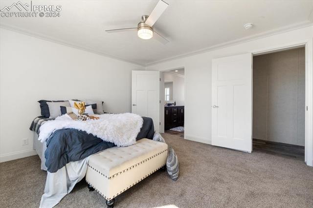23670 Redtail Drive