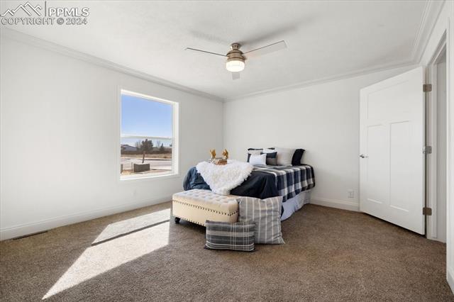 23670 Redtail Drive