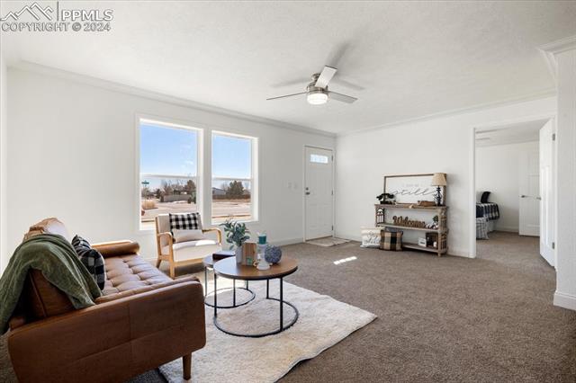 23670 Redtail Drive