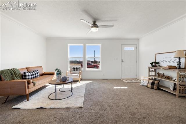 23670 Redtail Drive