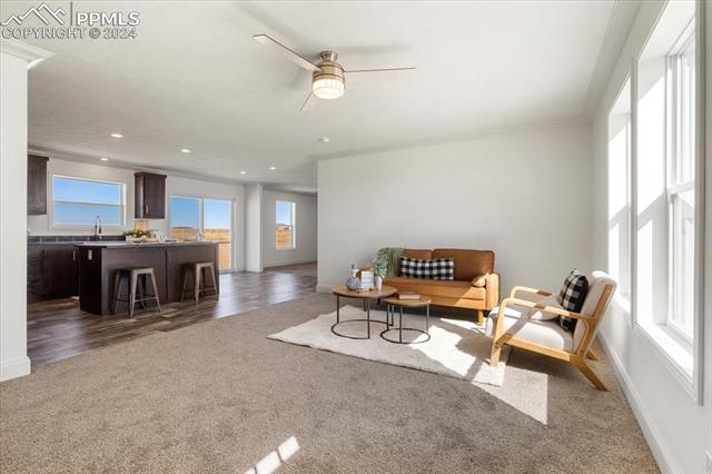 23670 Redtail Drive