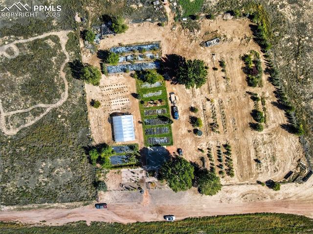 1115 E Holiday Drive