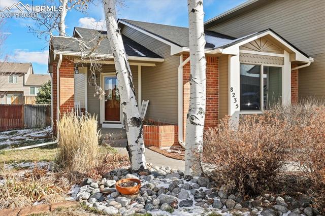 8235 Candleflower Circle