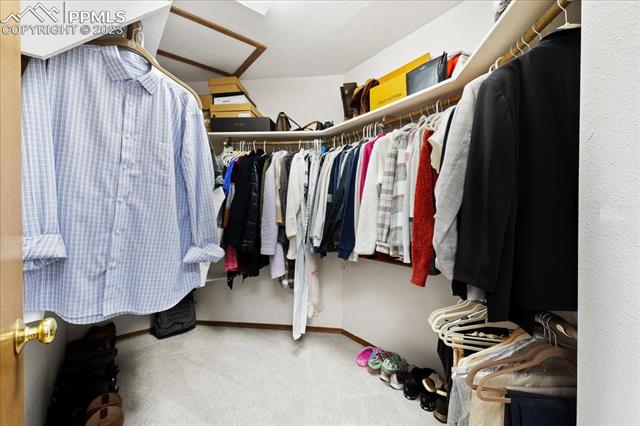 8235 Candleflower Circle