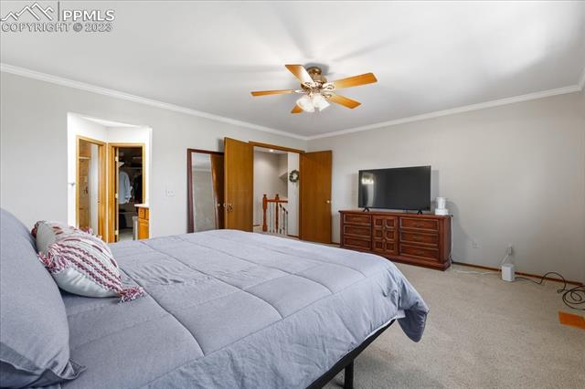 8235 Candleflower Circle