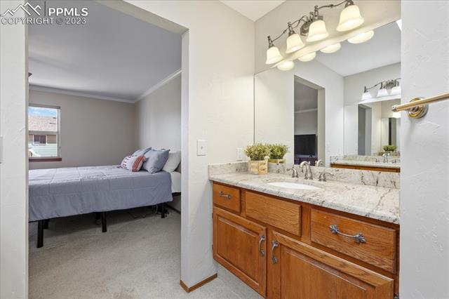 8235 Candleflower Circle