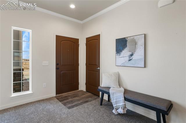 1093 E Buffalo Bill Lane