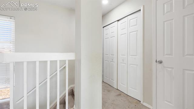 295 Peck Court