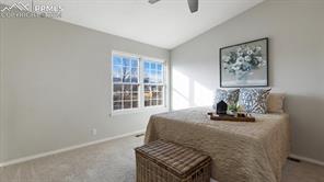 295 Peck Court