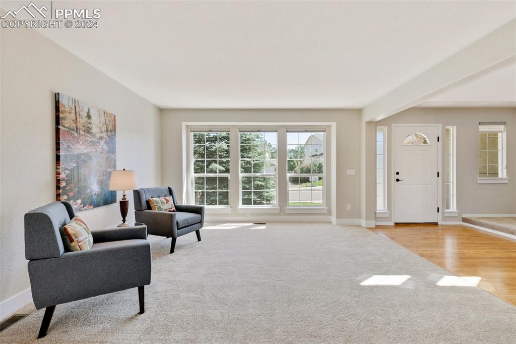16230 Windsor Creek Drive