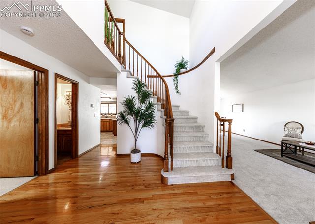 3913 Whisper Hollow Drive