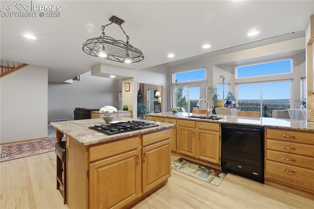 2502 Kinderhook Lane