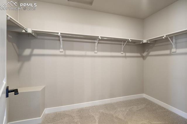 11468 Sanderling Street