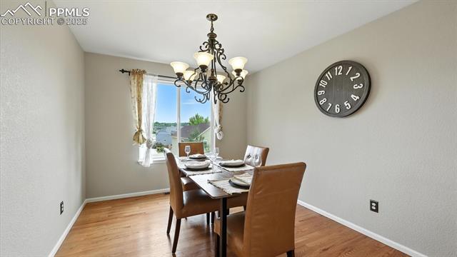 8295 Cedar Chase Drive