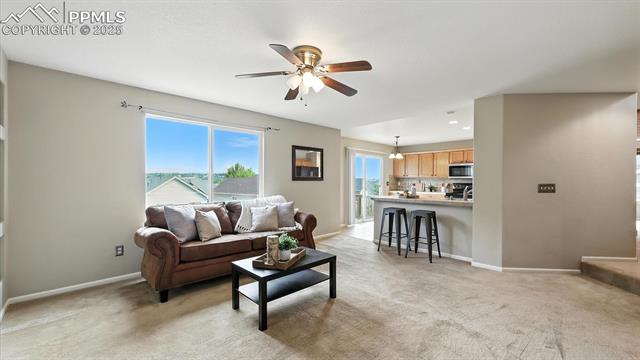 8295 Cedar Chase Drive