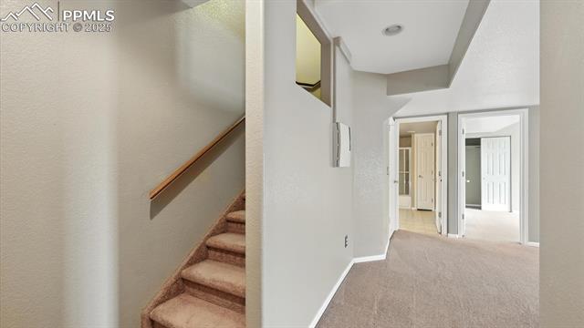 8295 Cedar Chase Drive