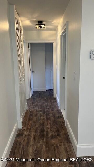 123B Edinburgh Lane, 1002