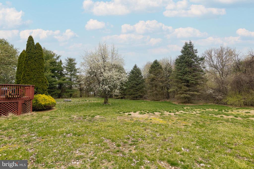 12 REID LANE