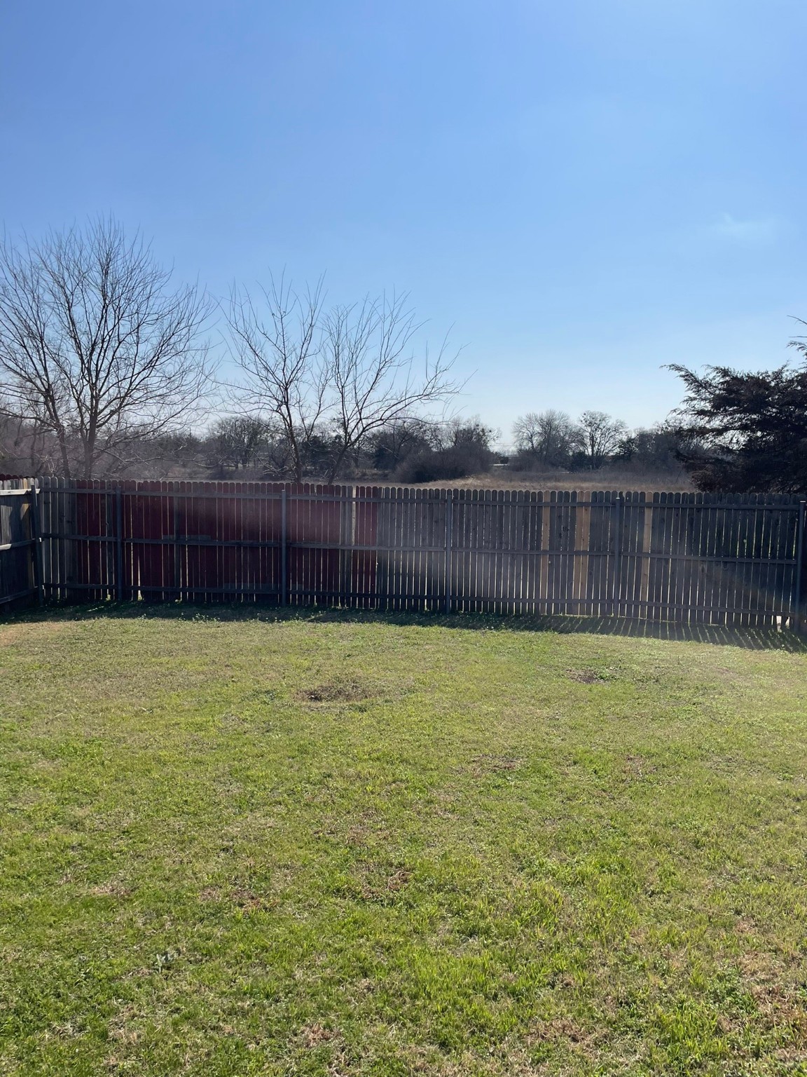 1336 Bumble Bee Drive
