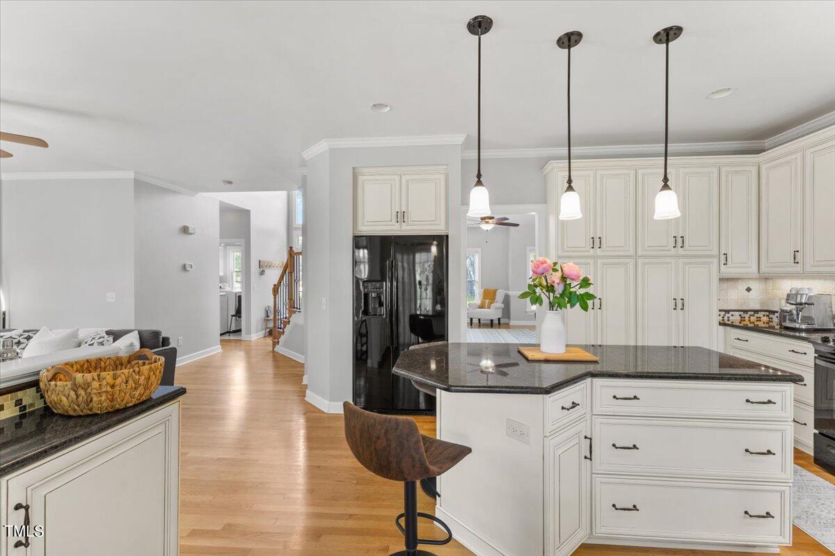 1619 Ashley Downs Drive