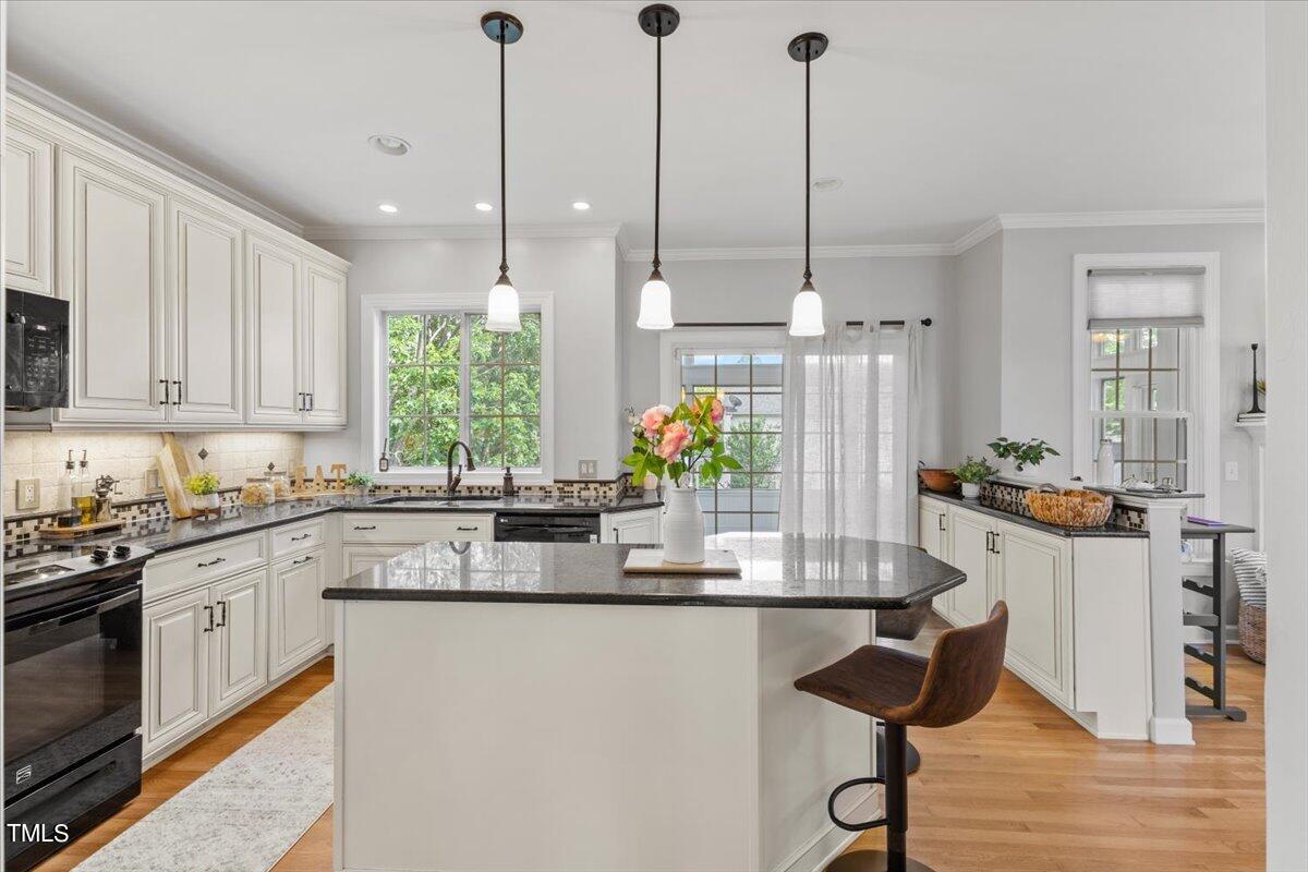 1619 Ashley Downs Drive