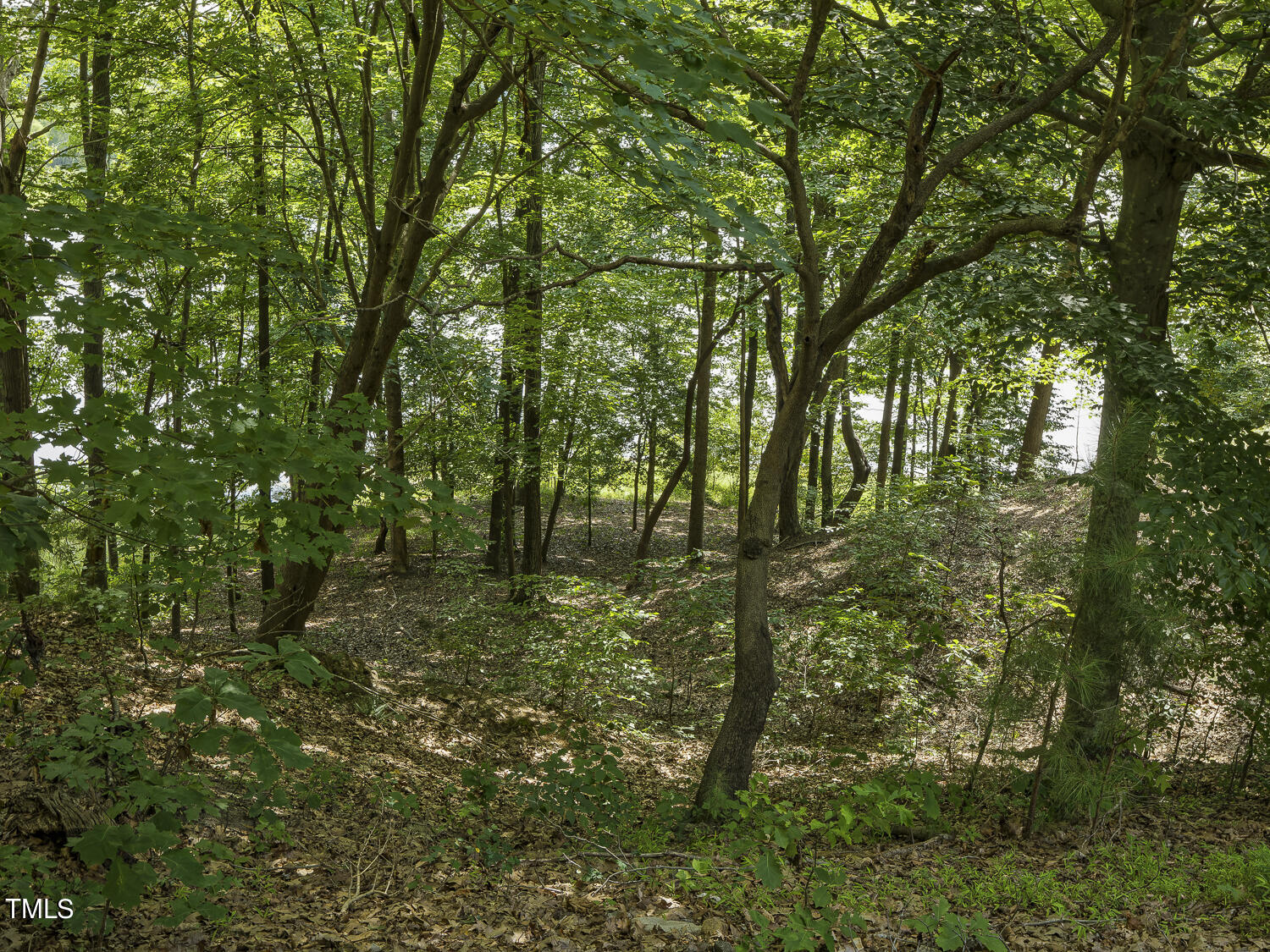 7100 Delta Bluff Lane