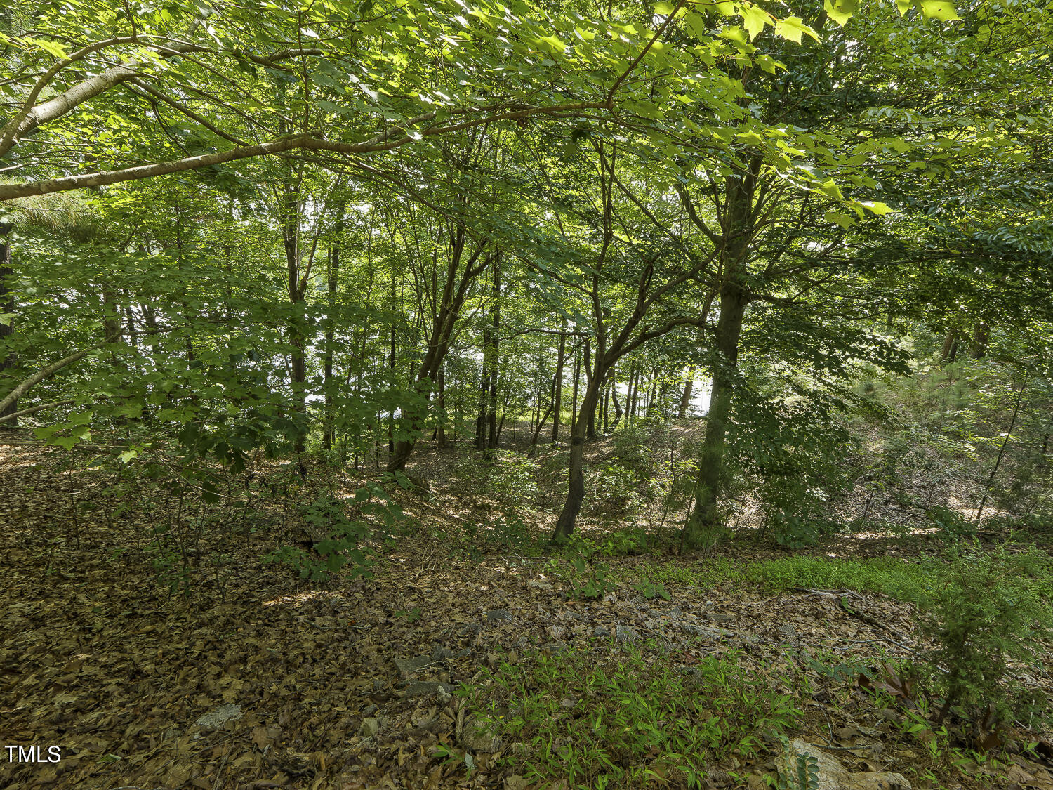 7100 Delta Bluff Lane