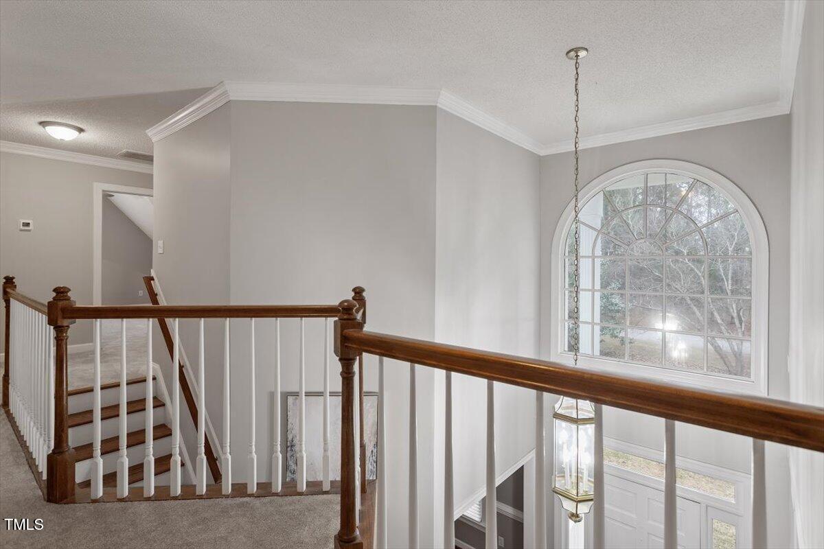 1513 Holland Hills Drive