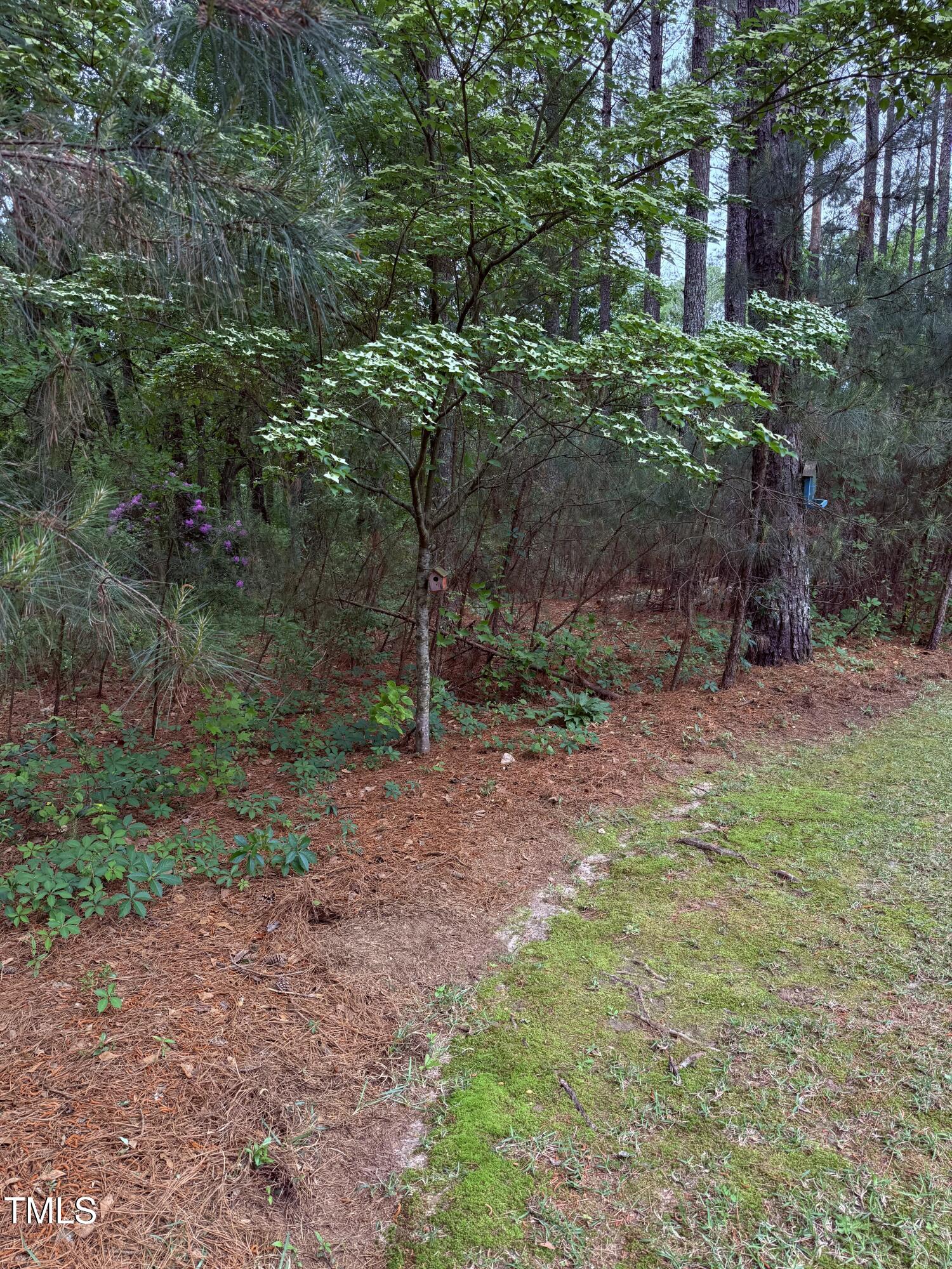 282 W Thicket Drive