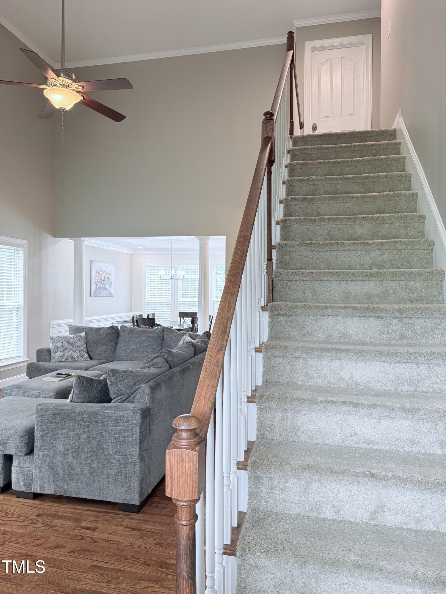 282 W Thicket Drive