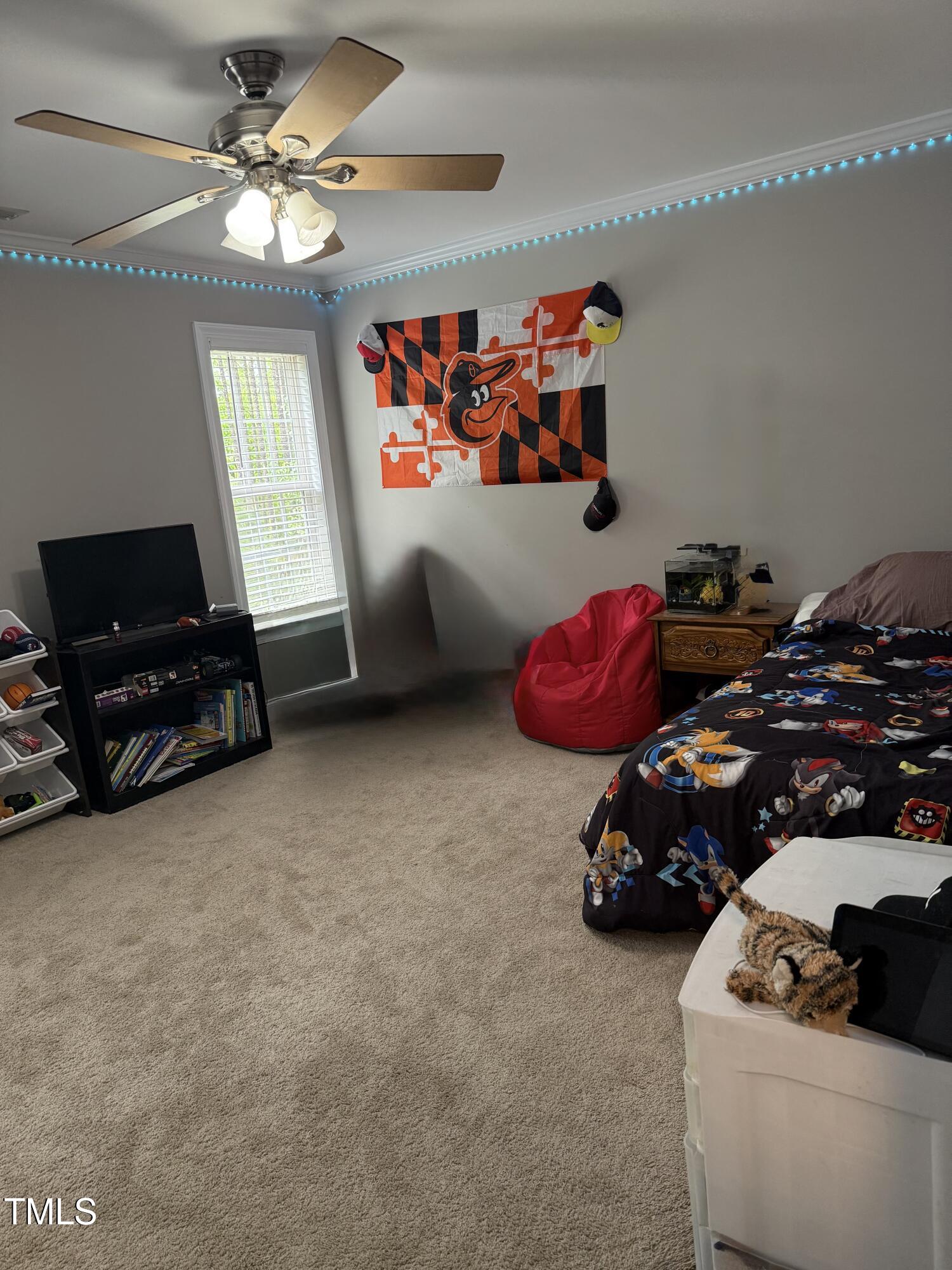 282 W Thicket Drive