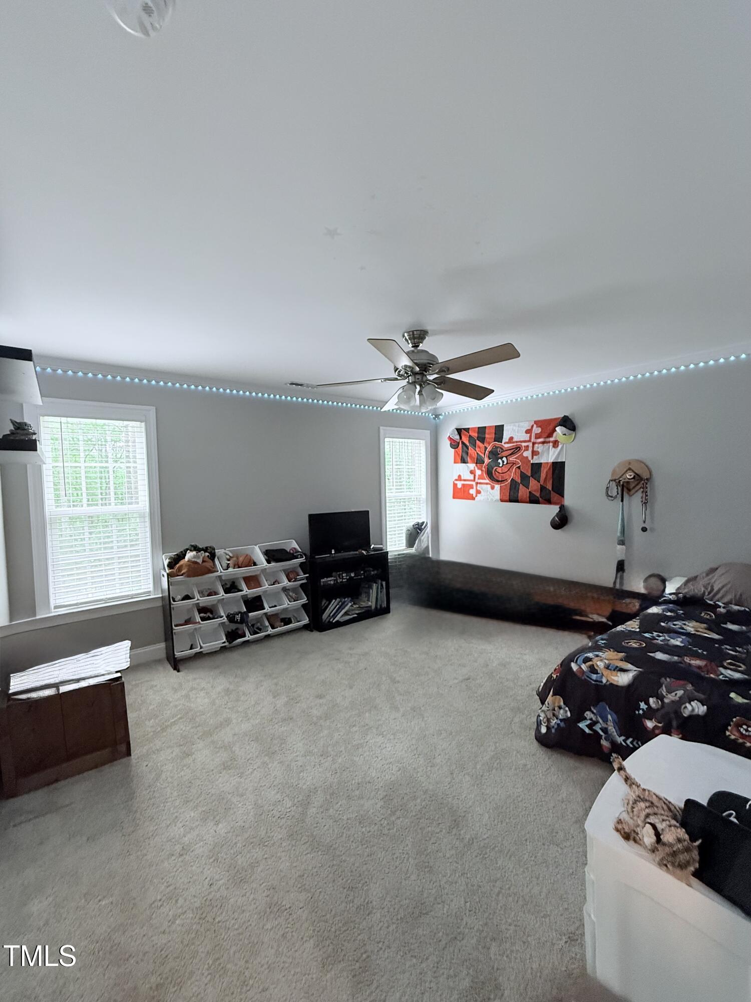 282 W Thicket Drive