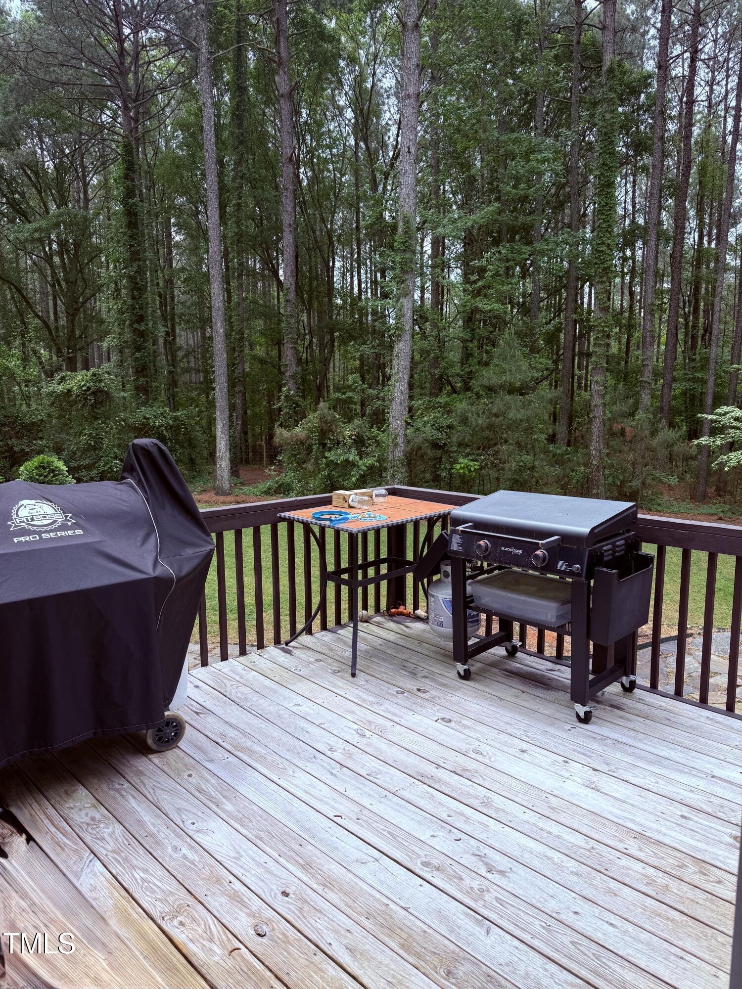 282 W Thicket Drive