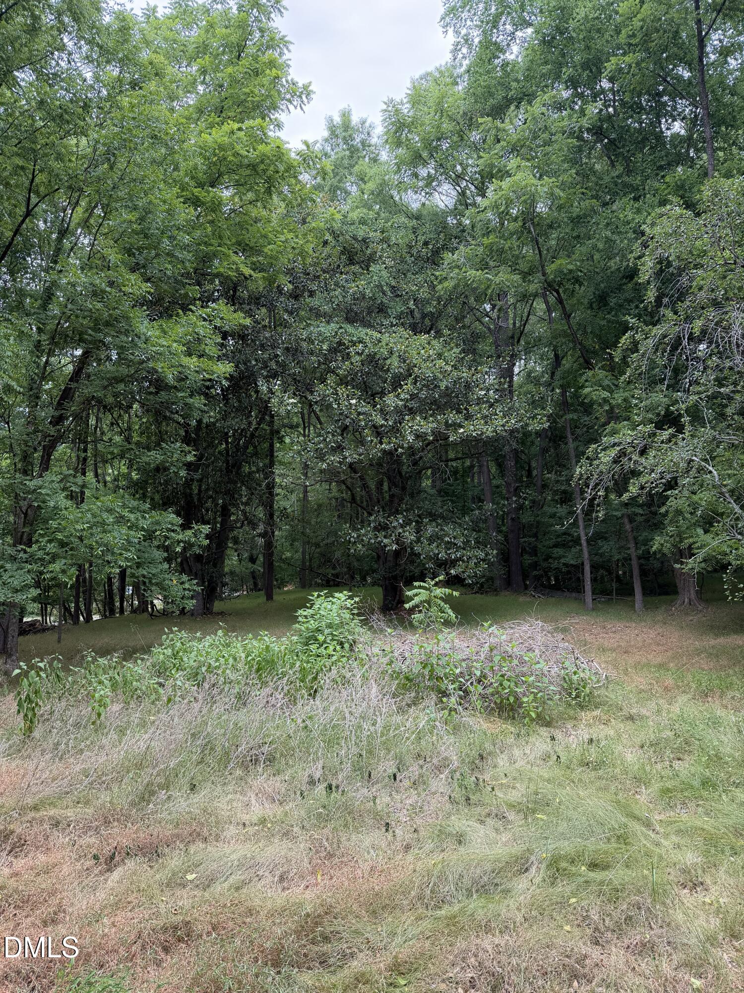 5806 Wilkins Drive