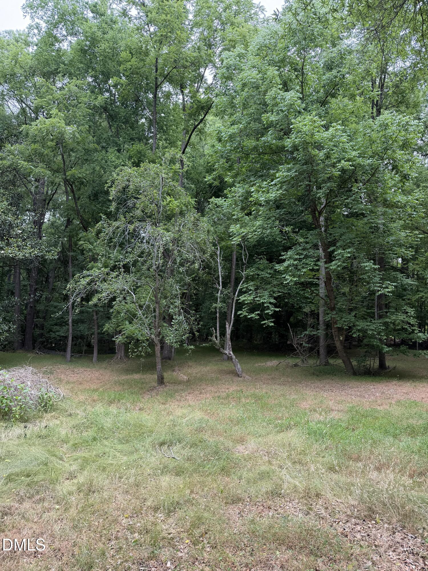 5806 Wilkins Drive