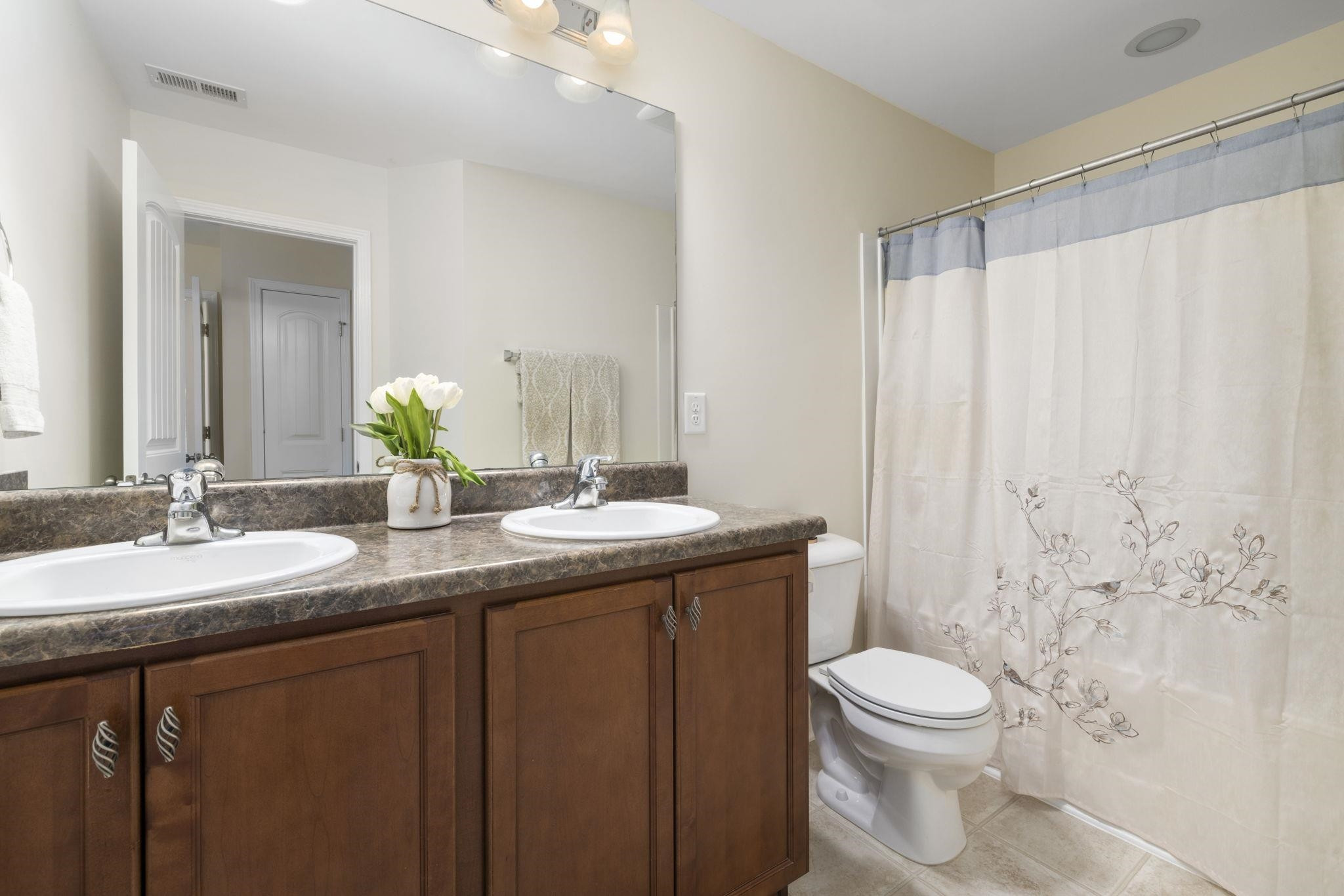 5116 Busted Rock Trail