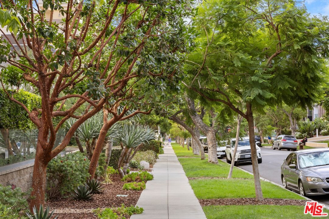 450 N Palm Dr Unit: 507