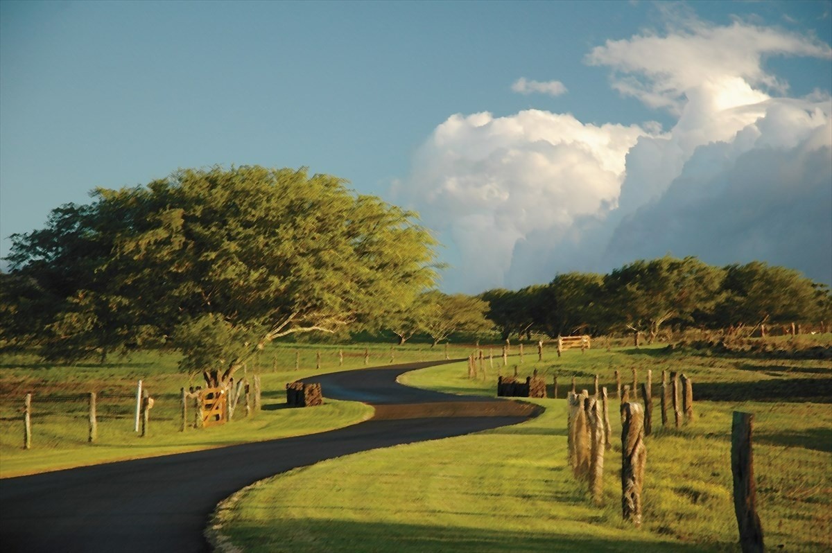 56-113 PUALANI ROAD