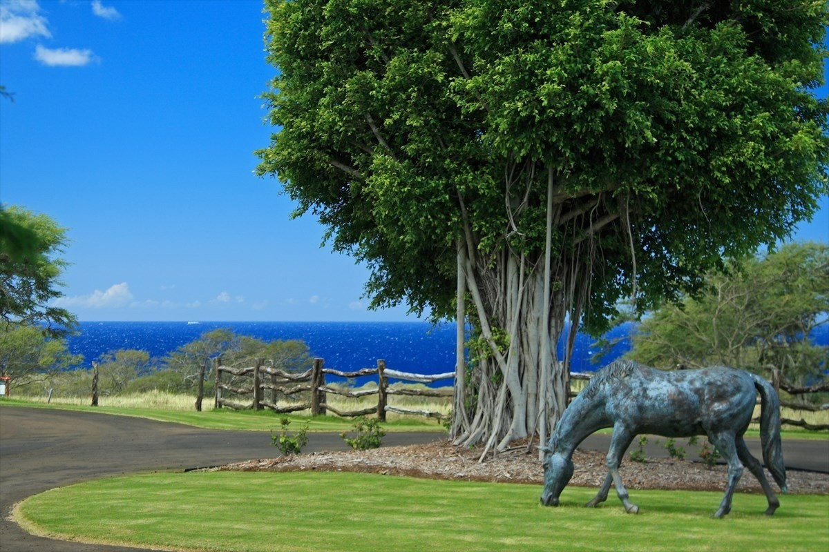 56-113 PUALANI ROAD