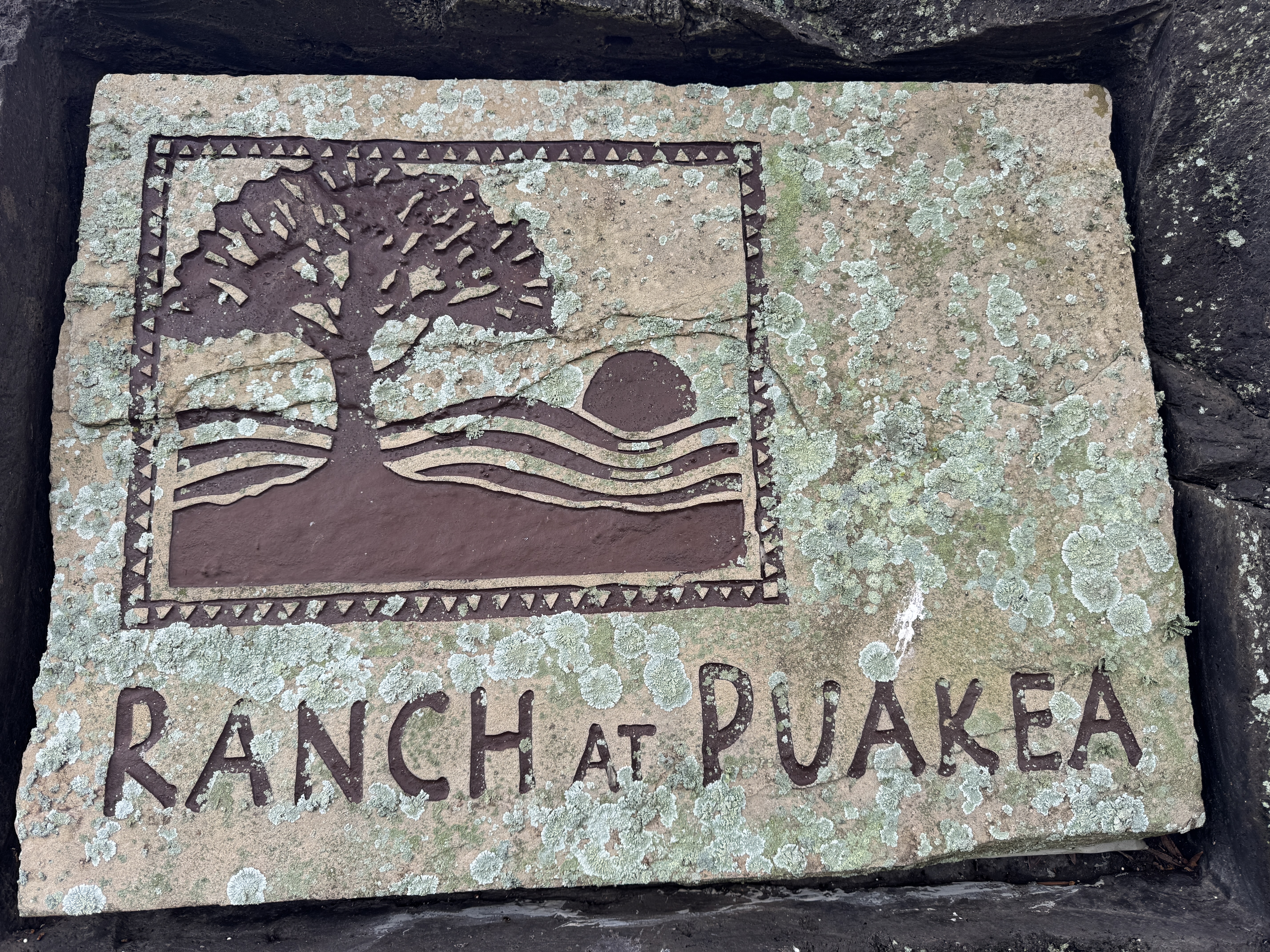 56-135 PUALANI RD