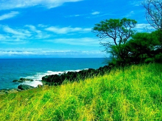 56-135 PUALANI RD