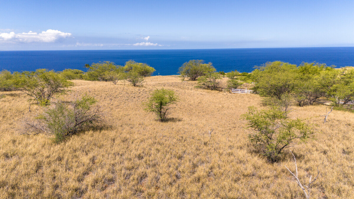 OLOMANA RD